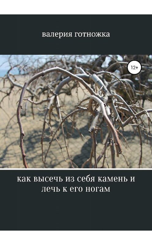 Обложка книги «Как высечь из себя камень и лечь к его ногам» автора Валерии Готножки издание 2019 года.