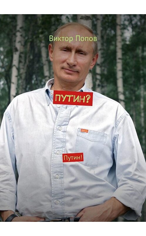 Обложка книги «Путин? Путин!» автора Виктора Попова. ISBN 9785449306999.